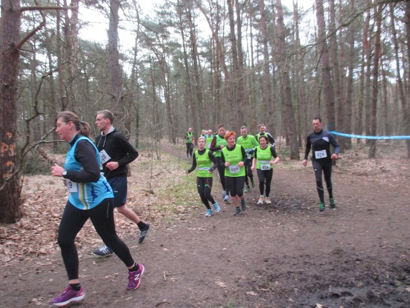 Bosloop Brecht - 04